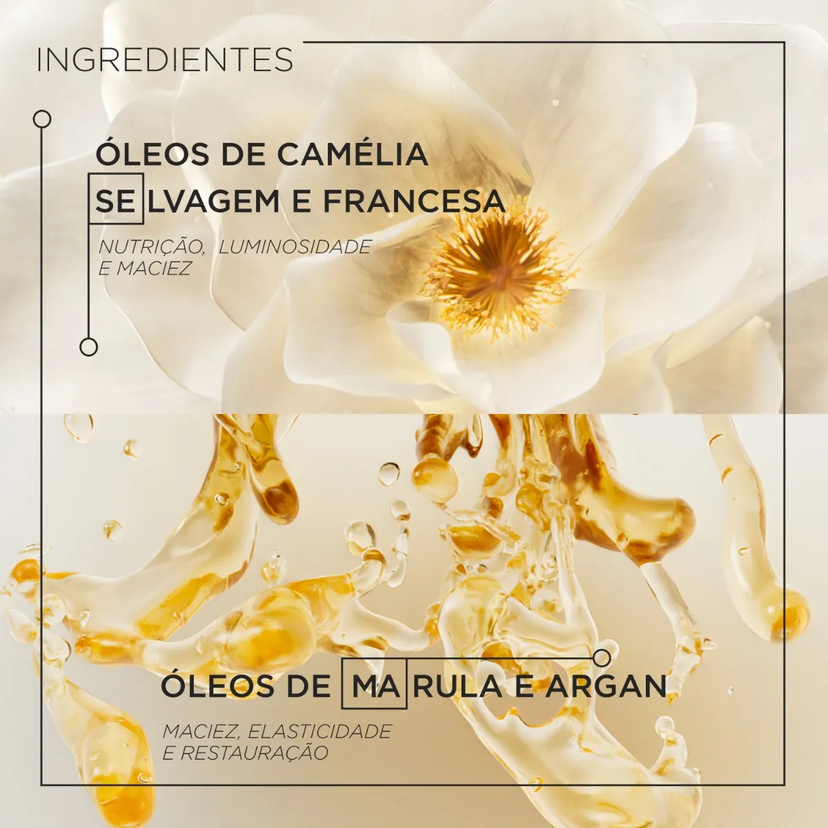 Imagem 5 de 11 de Óleo Capilar Kérastase Elixir Ultime L'Huile Originale 75ml