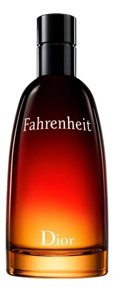 Perfume Dior Fahrenheit Masculino Eau de Toilette 100ml Floral Amadeirado