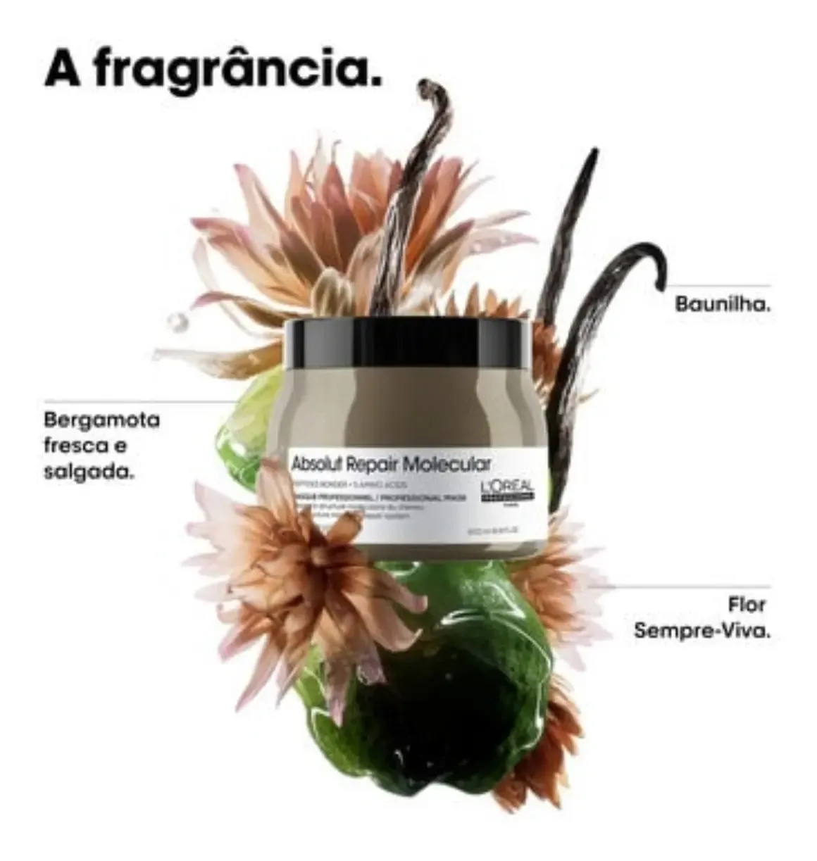 L'oreal Repair Molecular Máscara Profissional - 500g