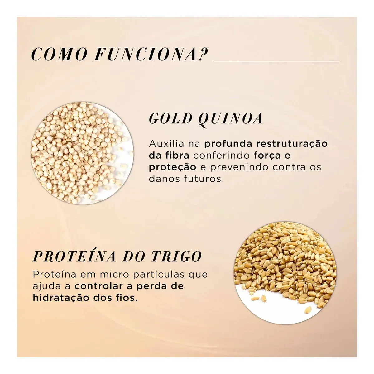 Absolut Repair Gold Quinoa Shampoo 1500ml - Série Expert | L'oréal Professionnel